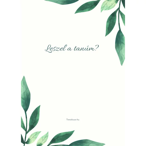 Kísérő kártya- tanu