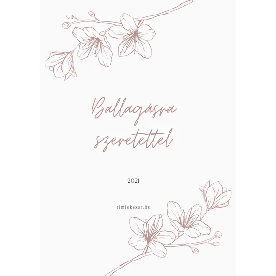 Kísérő kártya- ballagásra2