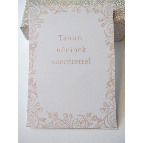 Kísérő kártya- tanitó néni3